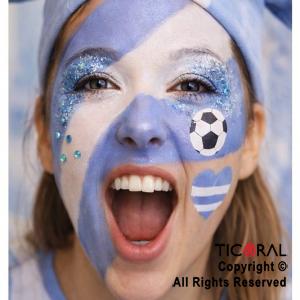 KIT MAQUILLAJE ARTISTICO ARGENTINA MUNDIAL GLITTER CELESTE Y PLATA(4 GR)+PINCEL+STRASS+STENCIL